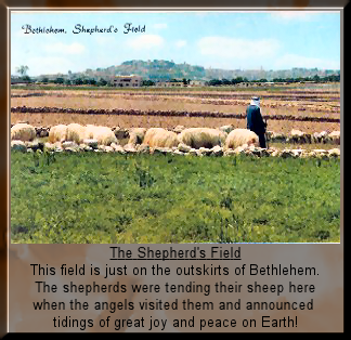 Shepherd's Field