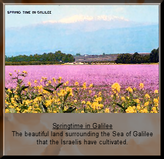 Springtime in Galilee